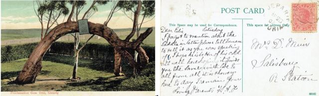 Figure 5: Post Card from Honor Alice (Bailey) Flavel to Edith Margaret (Solly) Muir, 20 April 1907. [Dear EDie - I forgot to mention about the saddle in the letter. Please tell Duncan to sell it as you were soeaking of. I hope he is better of his cold. All well here hoping it finds you the same. With love to all from all. It is showery here today. I remain your loving parents. H.A.FFigure 5: Post Card from Honor Alice (Bailey) Flavel to Edith Margaret (Solly) Muir, 20 April 1907. [Dear Edie - I forgot to mention about the saddle in the letter. Please tell Duncan to sell it as you were soeaking of. I hope he is better of his cold. All well here hoping it finds you the same. With love to all from all. It is showery here today. I remain your loving parents. H.A.F]